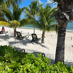 Apartment Beachfront Loft Amara, Cancun